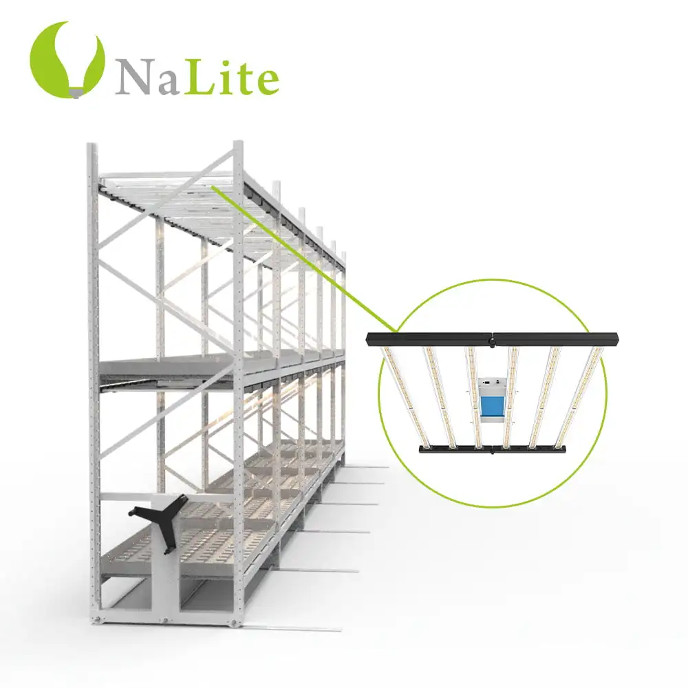 2022 Agriculture 4*8 ft Multi-level 2 Tiers Vertical Grow Rack Systems Mobile Rack For Sale