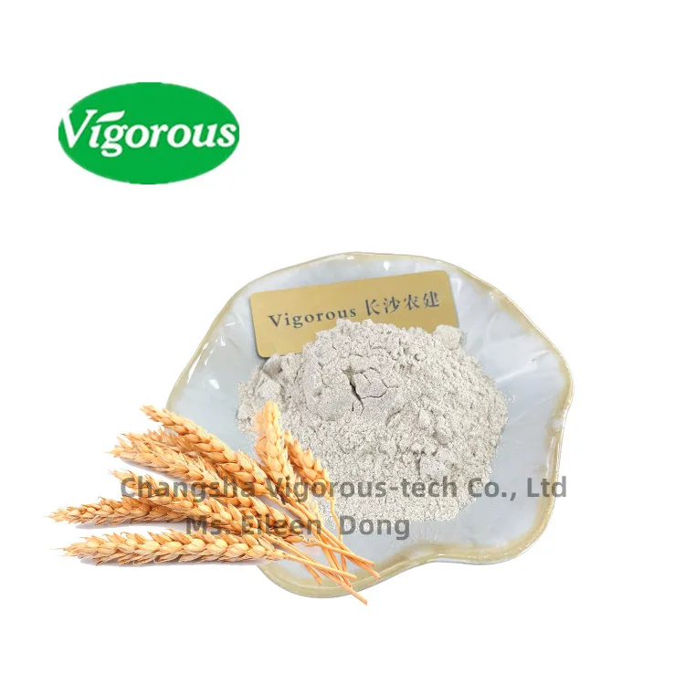 Natural, High in Protein, Vegan, Non GMO, Keto Friendly, Low Carbon vegetarian meat Vital Wheat Gluten