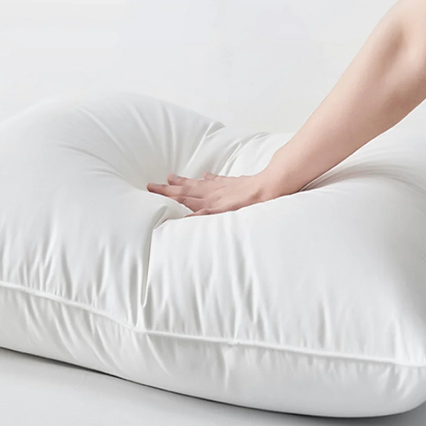 Big OEM Order Service Simple and pure cotton white goose down pillow twin Pack cushion sofa cushion