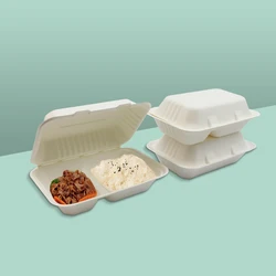 Packaging Takeaway Sugarcane Bagasse Disposable Food Containers Biodegradable Lunch Box