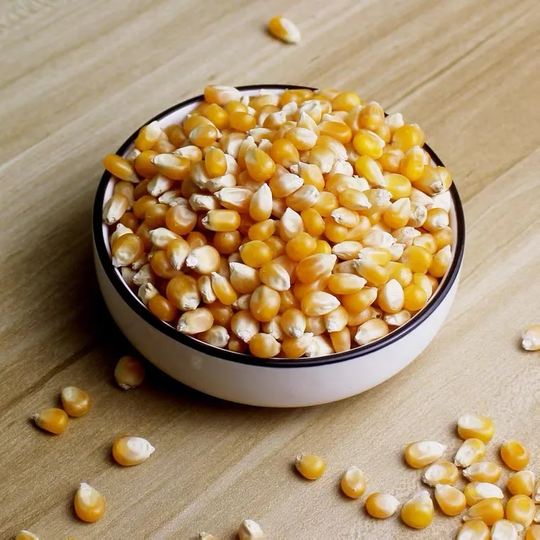 
Wholesale Price OEM Air Dried Corn Dried Maize Dehydrated Yellow Corn 