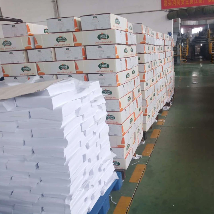 245*345mm Food Grade Greaseproof Paper Sandwich Paper