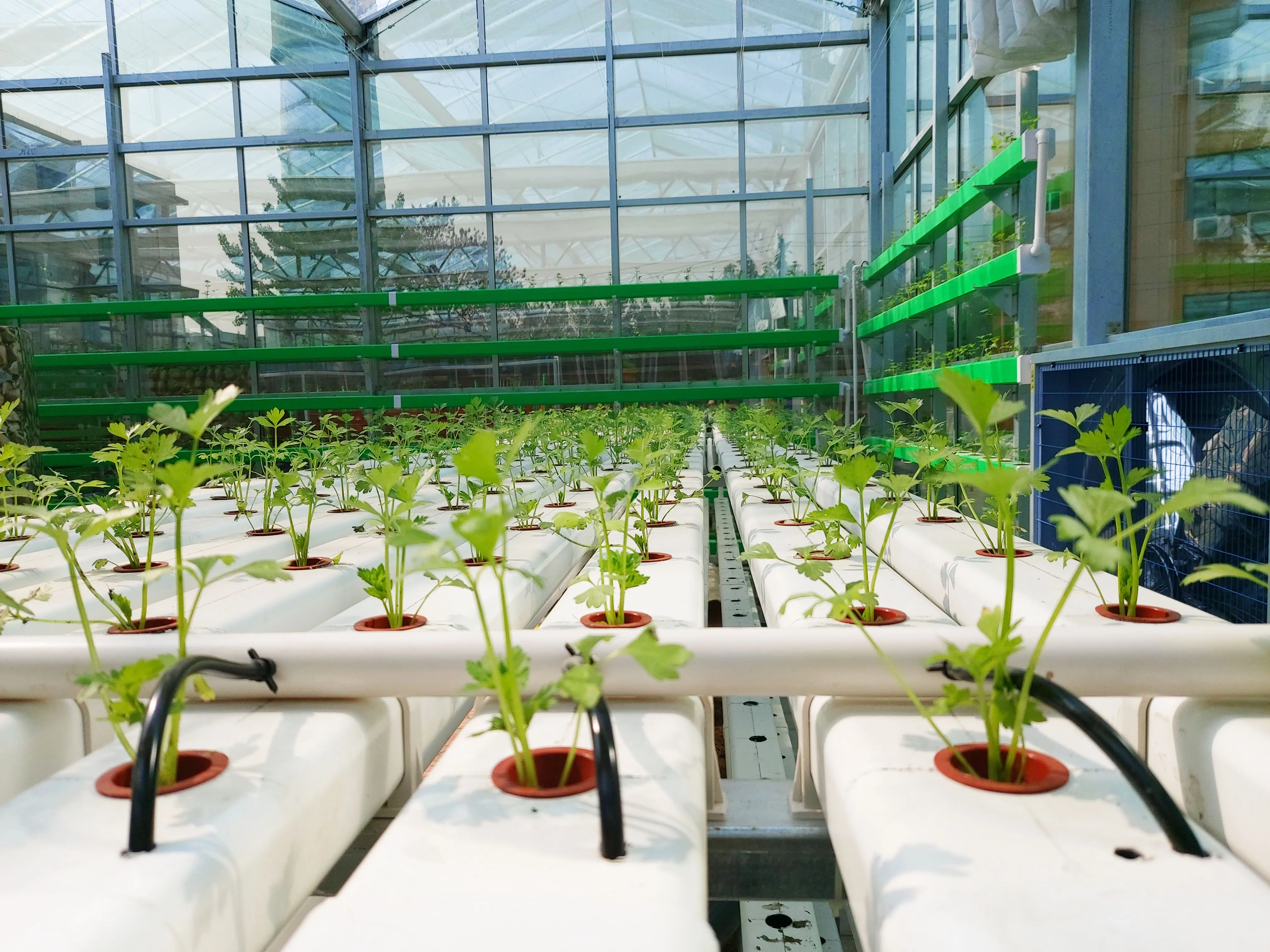 vertical hydroponics farming  NFT channels