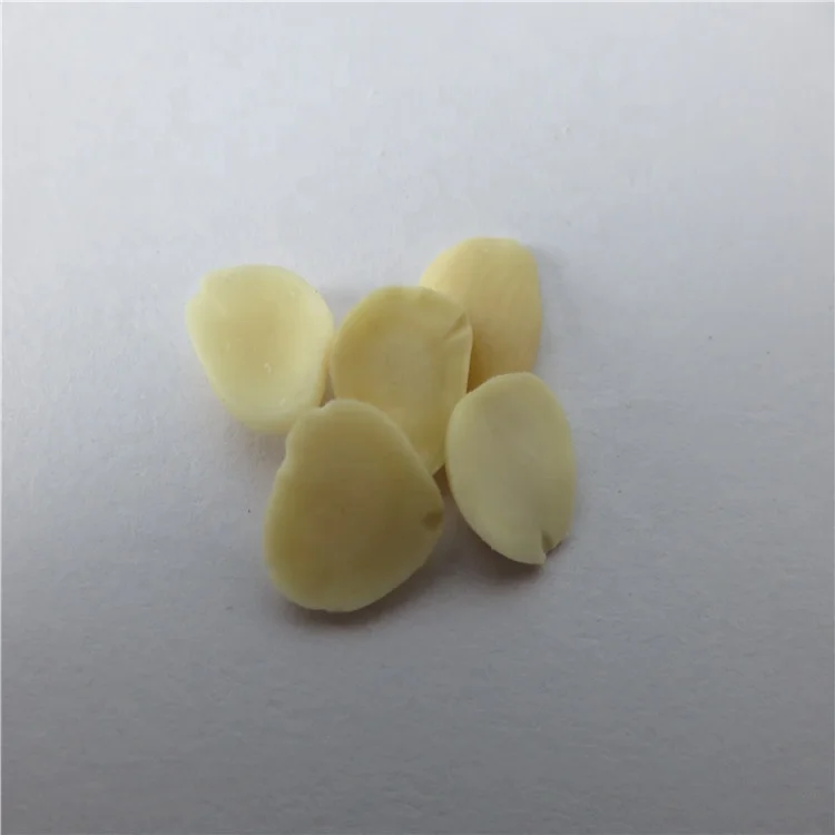 
Blanched Debittered Apricot Kernels for food industry 