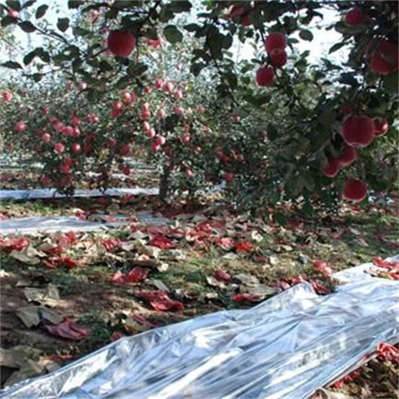 silver metal pet polyester film pet metalized film for flexible packaging