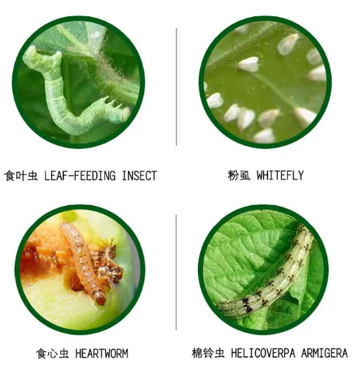 Stomach poison insecticide Phoxim 40% EC manufacturer