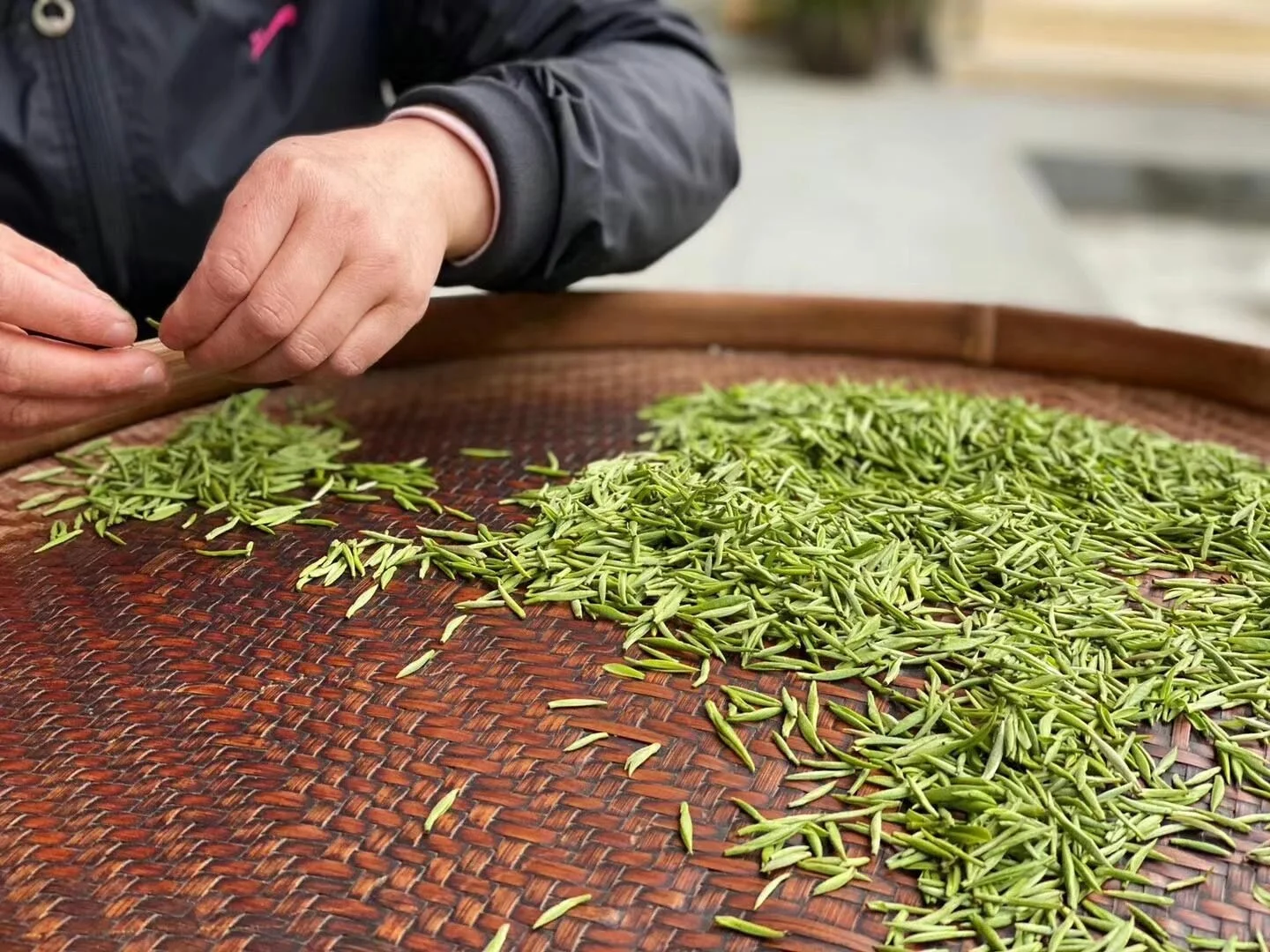 Wholesale price custom packaging hot West Africa Chinese suppliers  jasmine tea