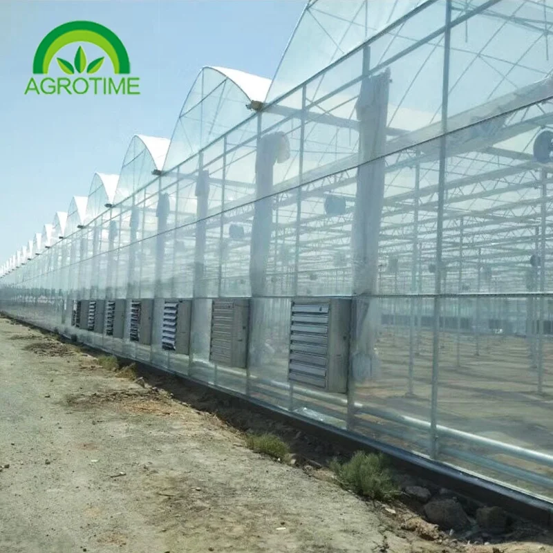 Multi Span Greenhouse Polycarbonate Hydroponics Greenhouse Tunnel