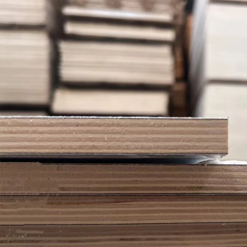 High-quality phenolic board, bakelite plywood for furniture, high-pressure phenolic resin HPL compact laminate 1220*2440*18