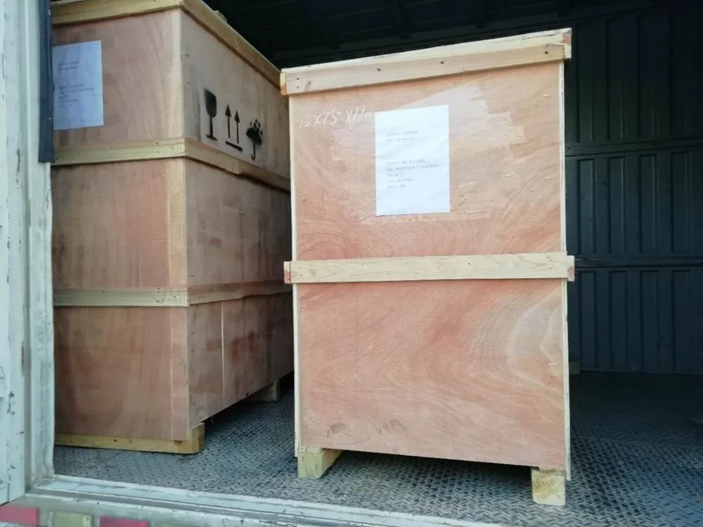 Professional manufacturer wholesale electronic tablet capsule counting machine