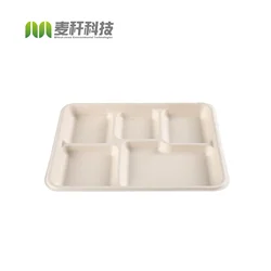 100% Natural 5 Compartment Disposable Sugar Cane Fiber Plates Eco-friendly Square Sugarcane Bagasse Tableware Food Tray