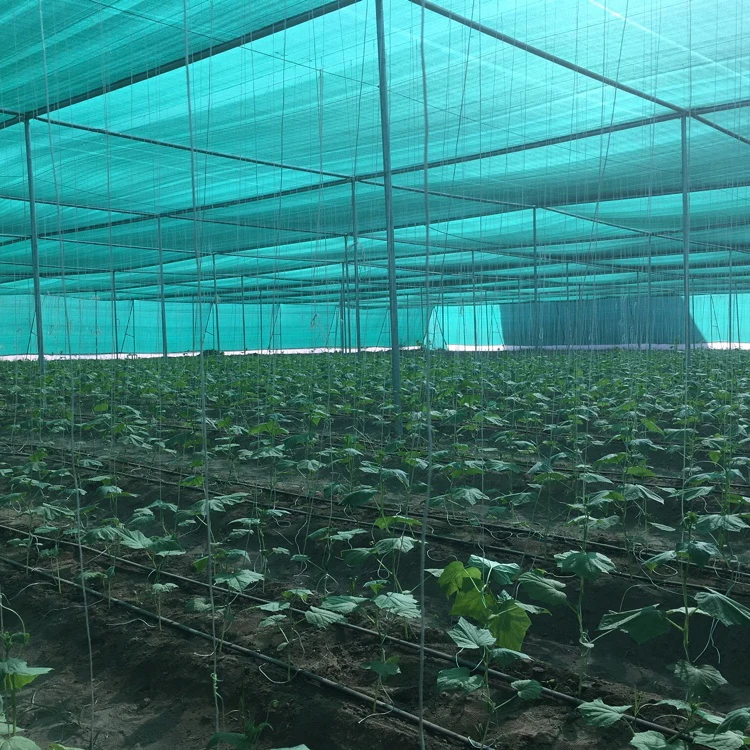 50% Small Agricultural Agriculture Garden Green House Sunshade Sun Shade Mesh Net