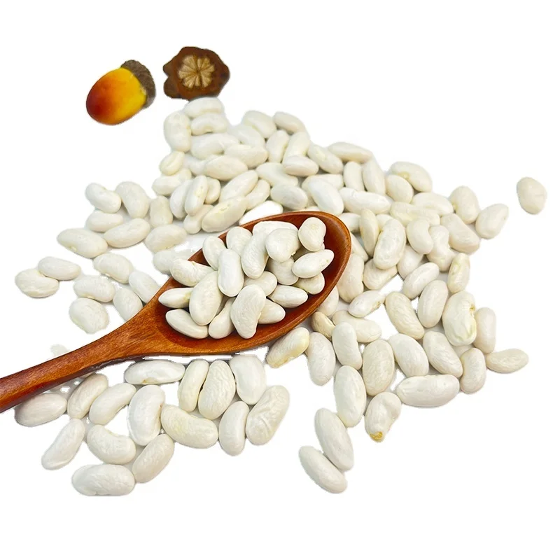 New crop  white bean White Kidney Bean