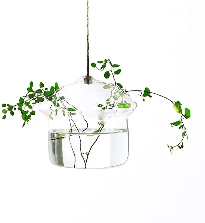 
Mushroom-Shaped Hanging Glass Flower Planter Vase Terrarium Container for Hydroponic Plants 