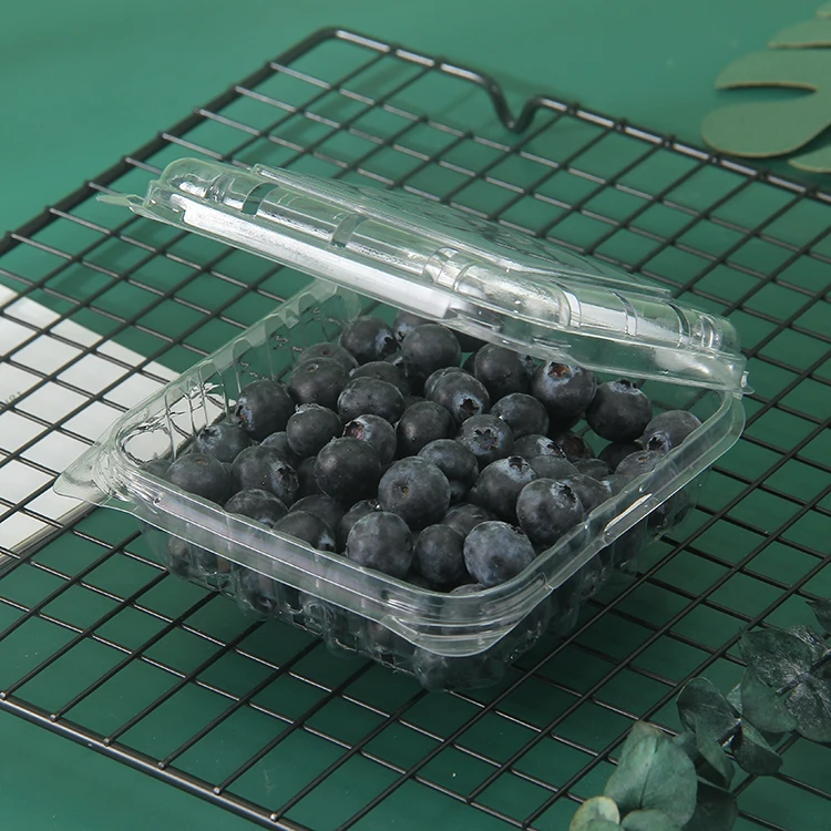 Disposable Food grade clear pet disposable salad fresh cut fruit plastic fruit container pet container plastic fruits