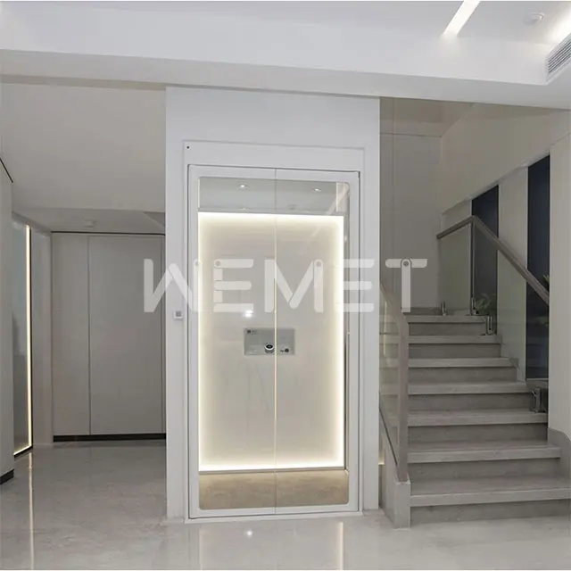 250kg residential house elevator/hydraulic small elevator for home /mini home lift for two people
