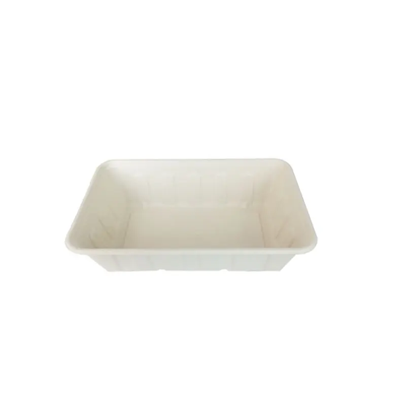 Manufacturer Well Made Sugarcane Bagasse Meal Box Biodegradable Disposable Bento Lunch Box