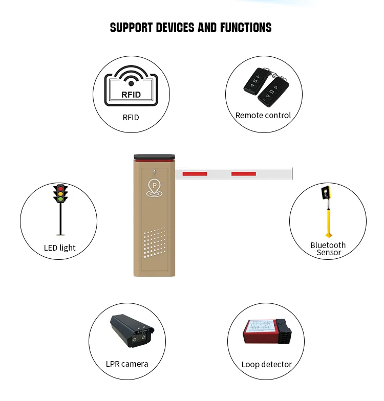 paste-pic-dp_uuid_8z7k9