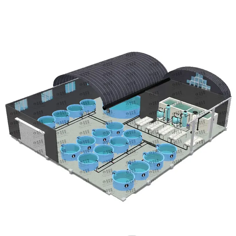 CATAQUA Fish Farm Equipments Ras Fish Farming System Recirculating Aquaculture System For Fish Culture