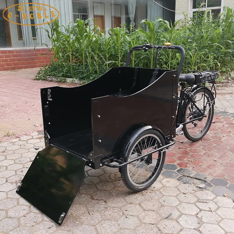 Electric tricycles 3.wheel electric cargo bike Black mini pet car