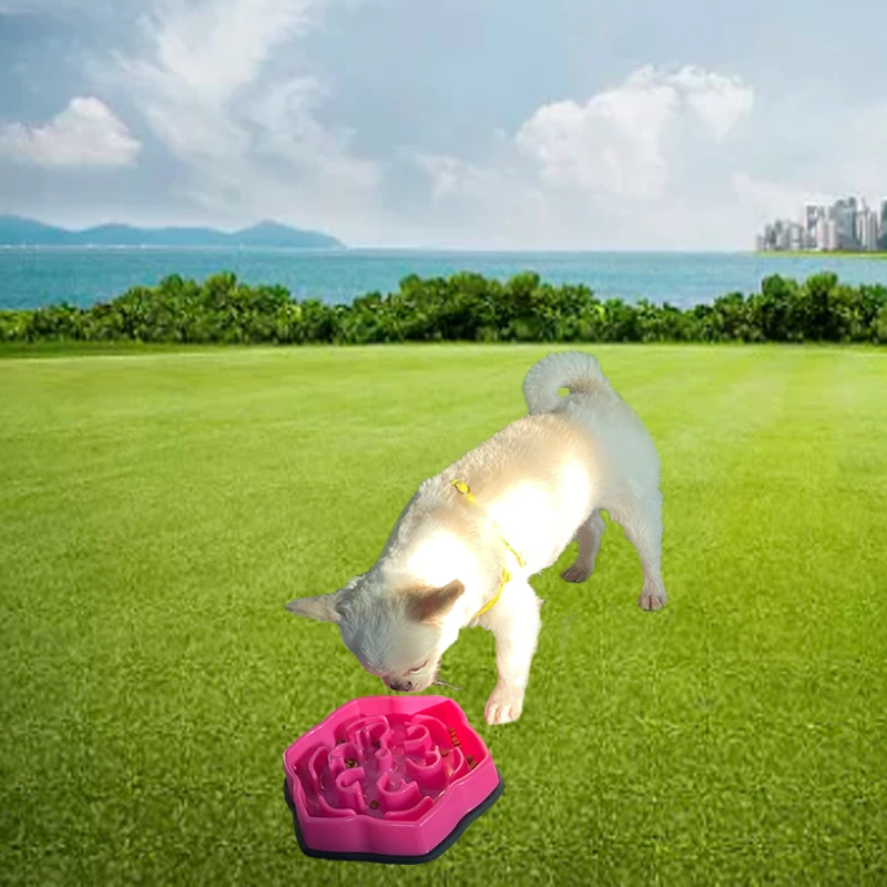 2021 hot sellers Factory Wholesale cheap slow food anti-choke dog bowl folding fun feeder slow bowl