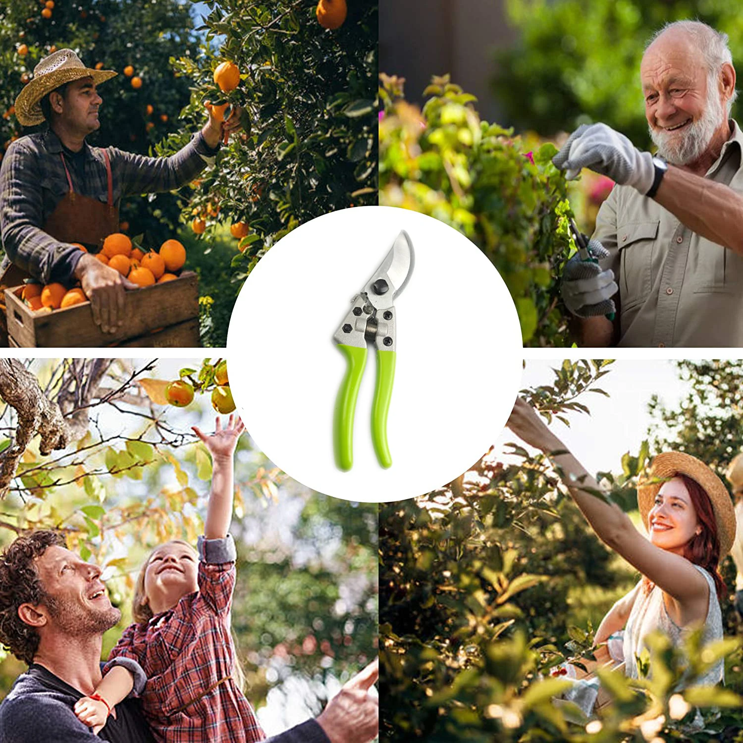 High Quality MIFUSE Bypass Hand Pruner Garden Tool Fruit Secateurs Floral Scissors Easy Cut Trimming Pruning Shear Profession