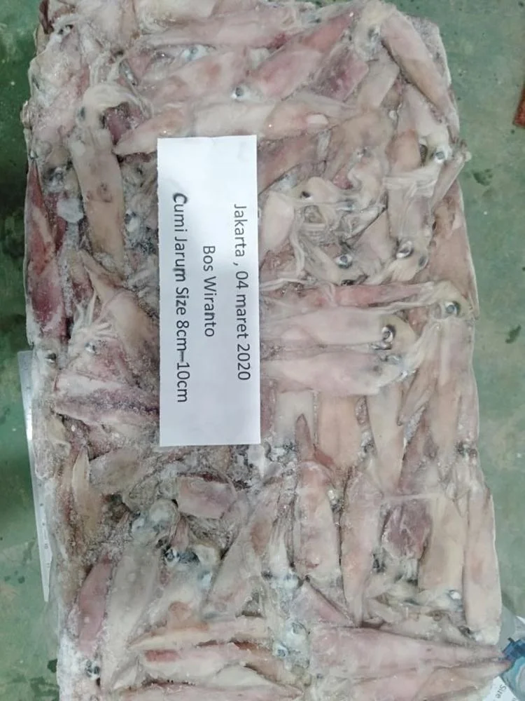 Good Sale Frozen Needle Squid