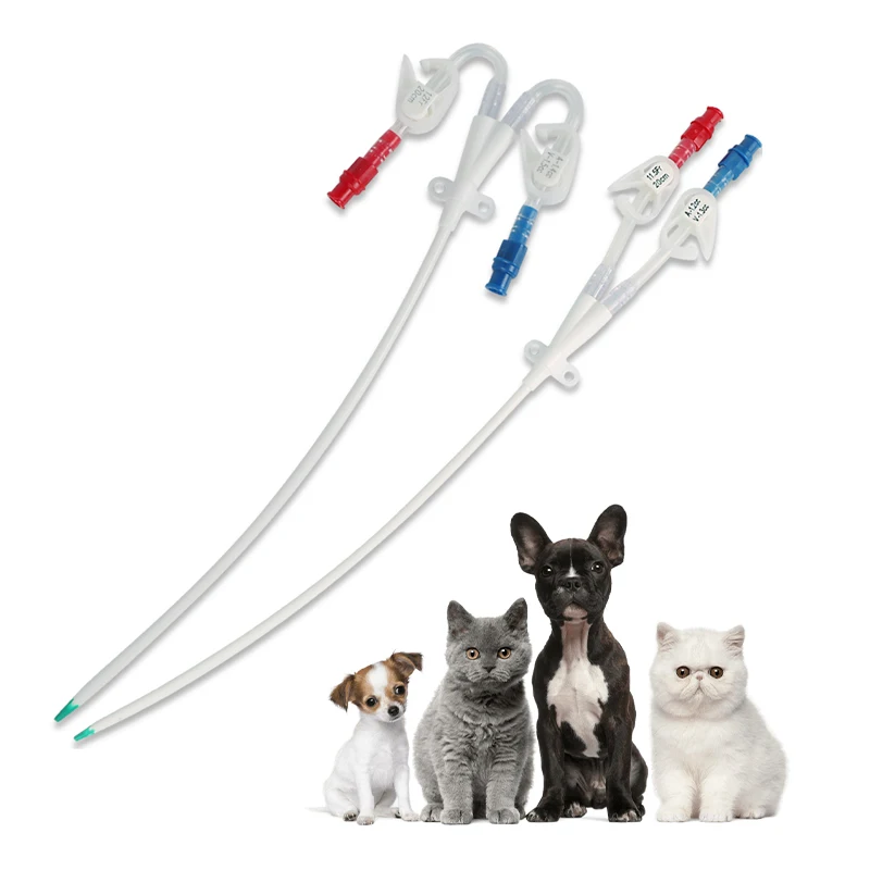 Double Lumen Catheter Kit for Veterinary Hemodialysis Hot Sale Triple Lumen Dialysis Catheter Reliable Medical Temporary