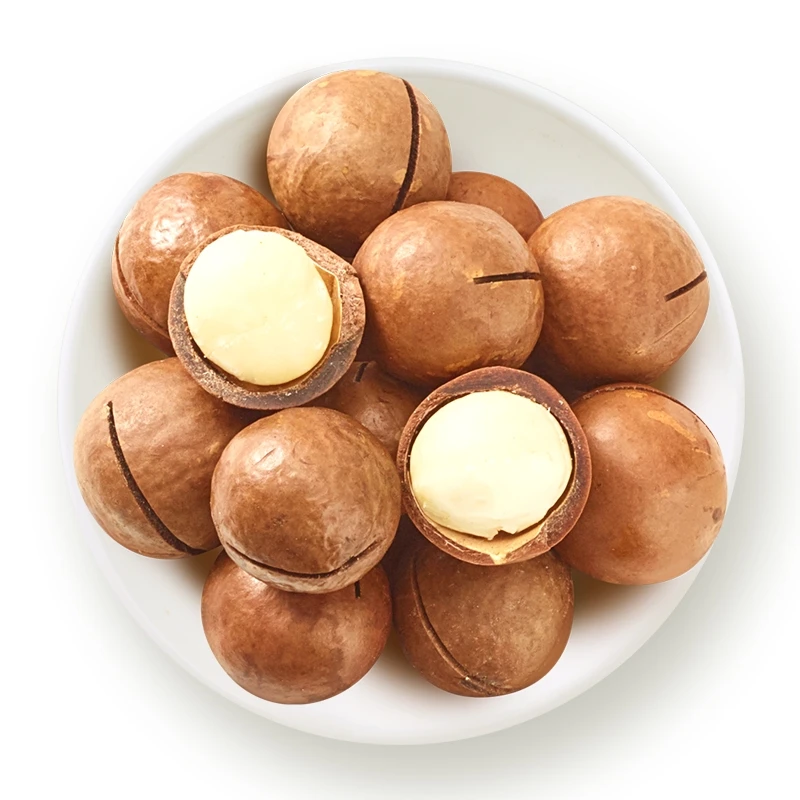  Хит продаж большие ежедневные орехи вкусные макадамии ручной