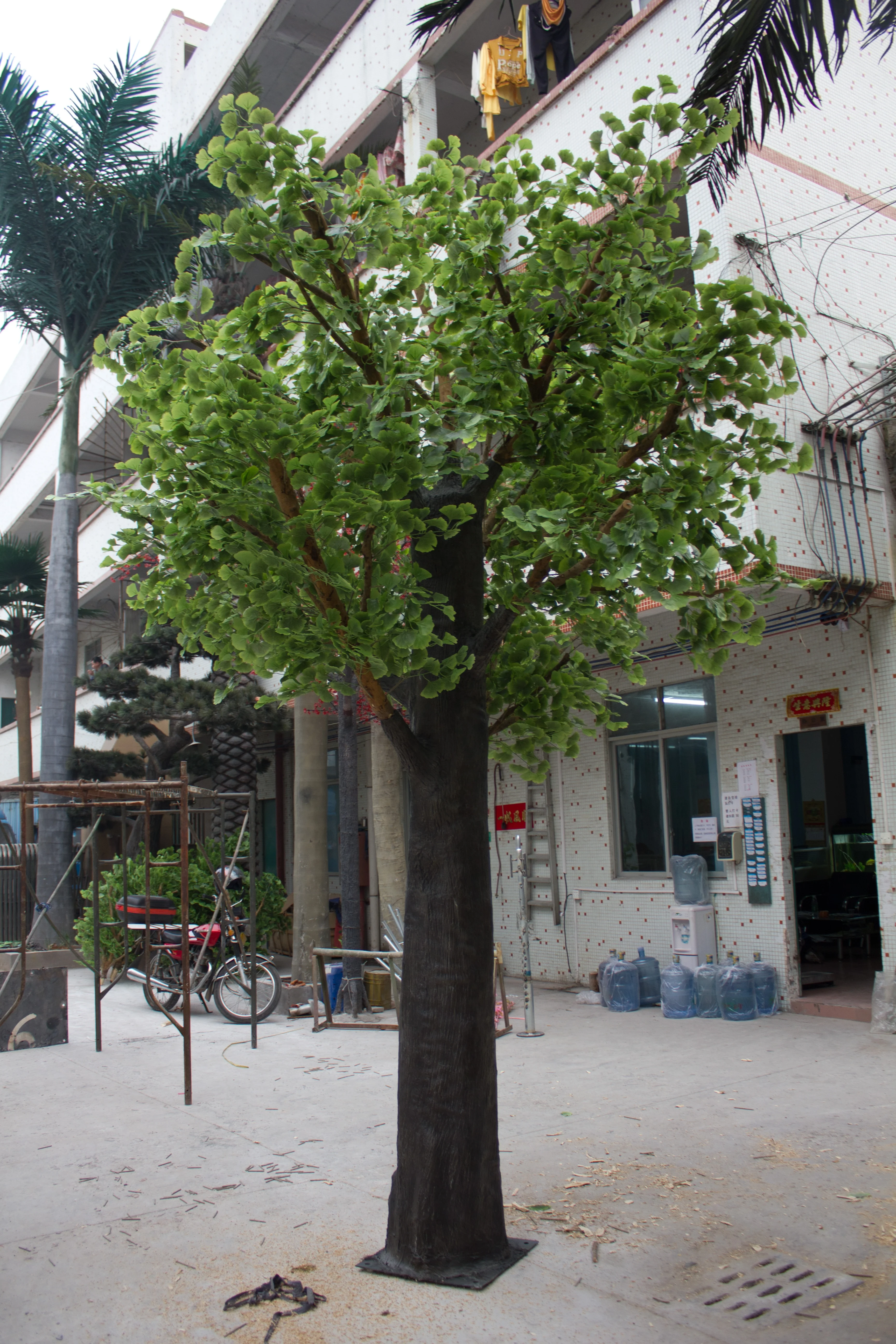 Customized high simulation fiberglass artificial ginkgo tree fake tree on sale