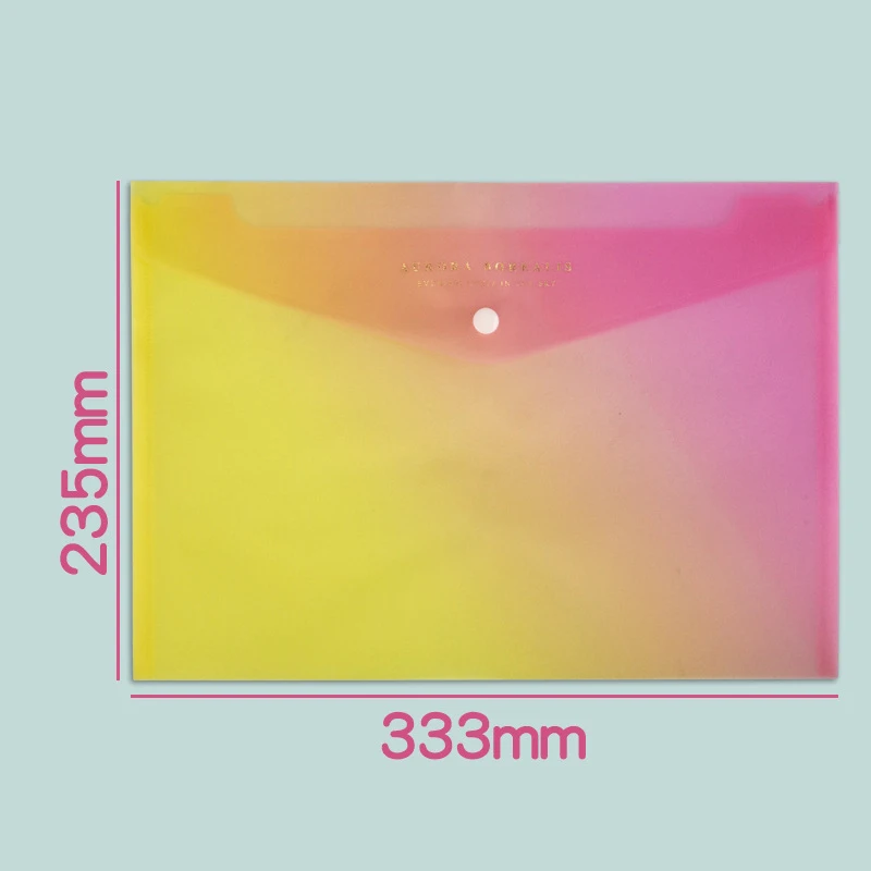 Custom Logo A4 Envelope File Document Folder Clear Document Envelope Organizer with  Button