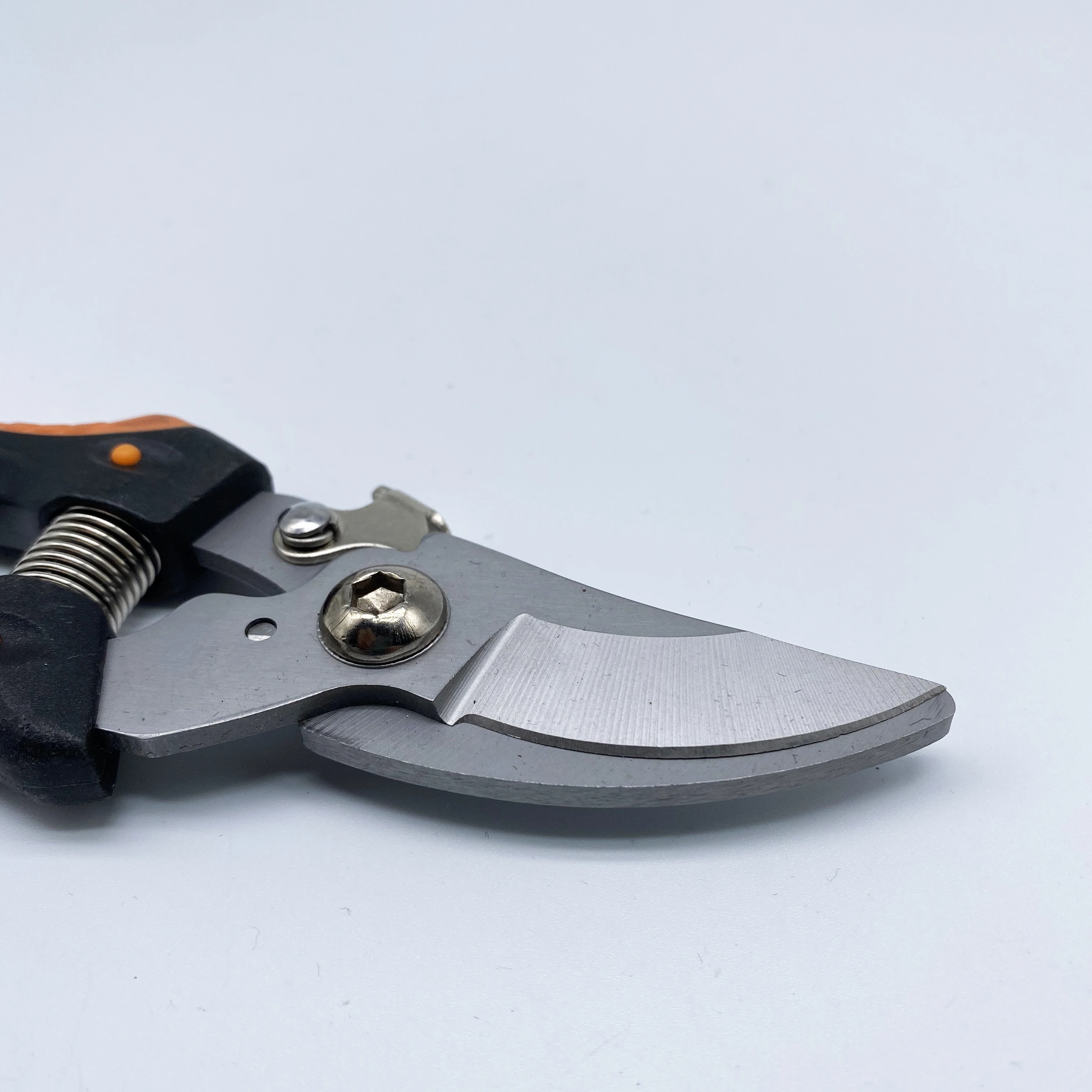 Popular Garden Tools Pruning Shears Scissors Straight Fruit Tree Pruner Bypass Industrial 5-7 Days 7.5 Inch OEM,ODM Plastic 3mm