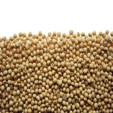 Soybean Meal Animal Feed Animal Feed Additive Soybean Meal 46% Feed Grade Poultry And Livestock