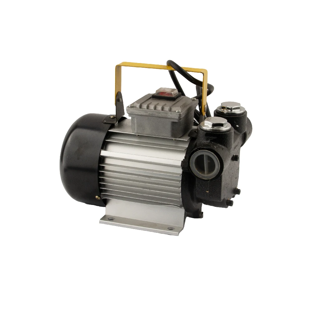 220 V oil pump/ac 110 V/12/24 V/60l portable pump set