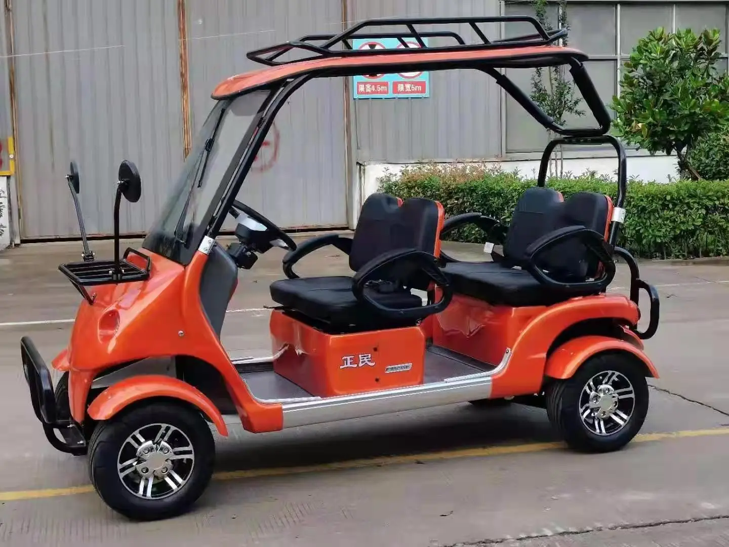 adult electric vehicle new energy car