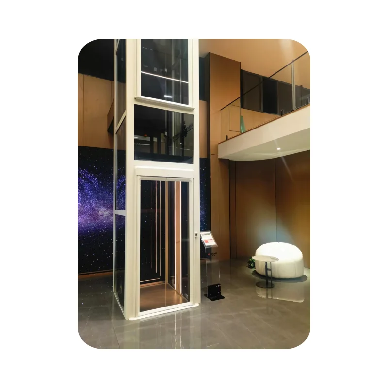 Fuji Platform Lifts for House Trailer Boom Transfer Chair Pintu Doble Pneumatic Home Lifter Hydraulic Car Lift