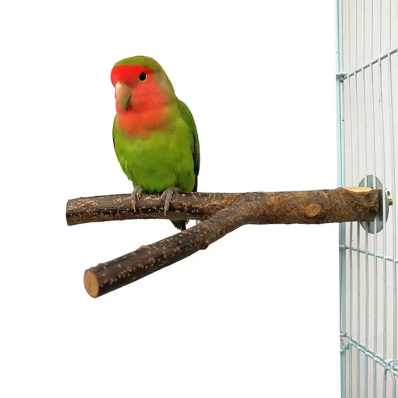 Natural Wood Pet Parrot Raw Wood Fork Tree Branch Stand Rack Squirrel Bird Hamster Branch Perches Chew Bite Toys Stick