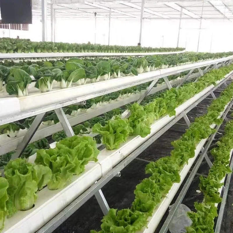 Aeroponic Hydroponic System For Greenhouse Indoor Hydroponic Tower Garden Hydroponic Growing System Vertical