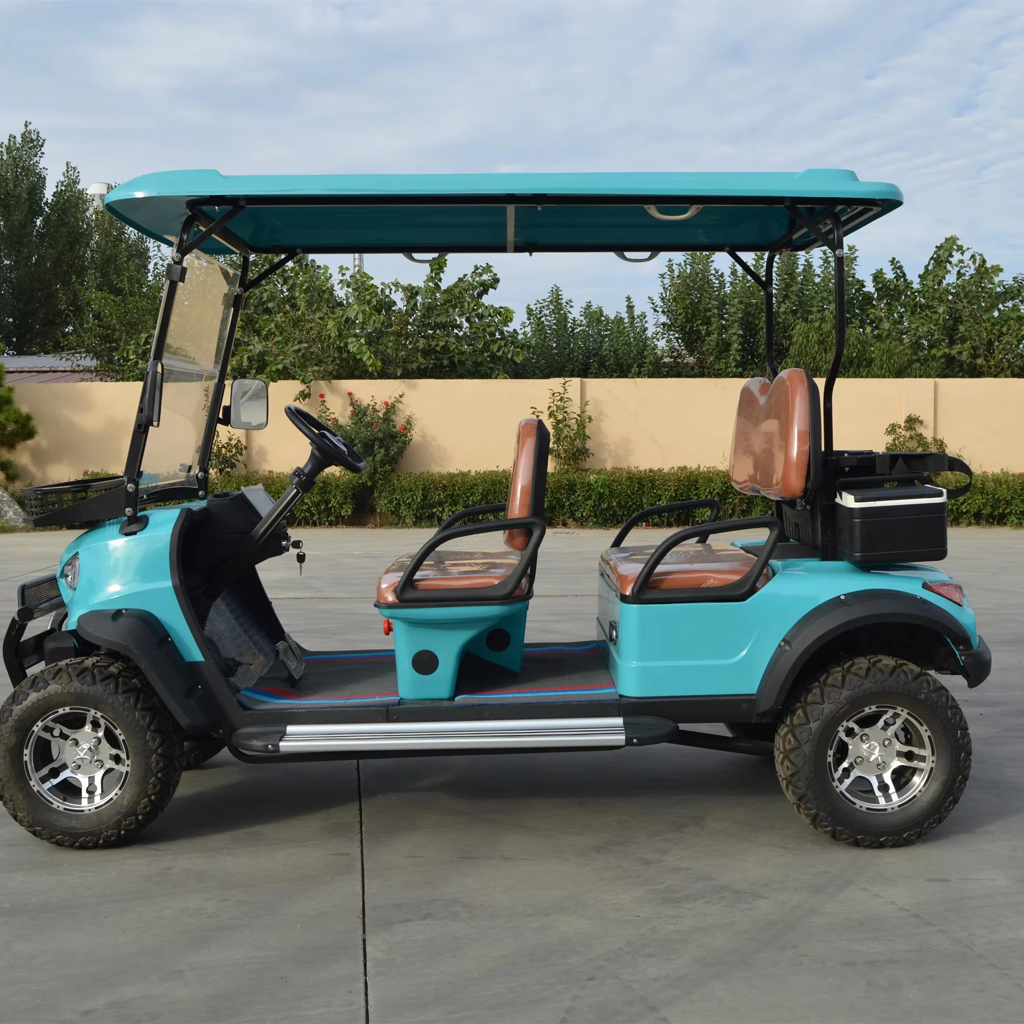 Compact 48V Electric Golf Cart Heavy-Duty 4-Seater Buggy with Durable Battery 2 Stroke Engine Dot Certified New Condition