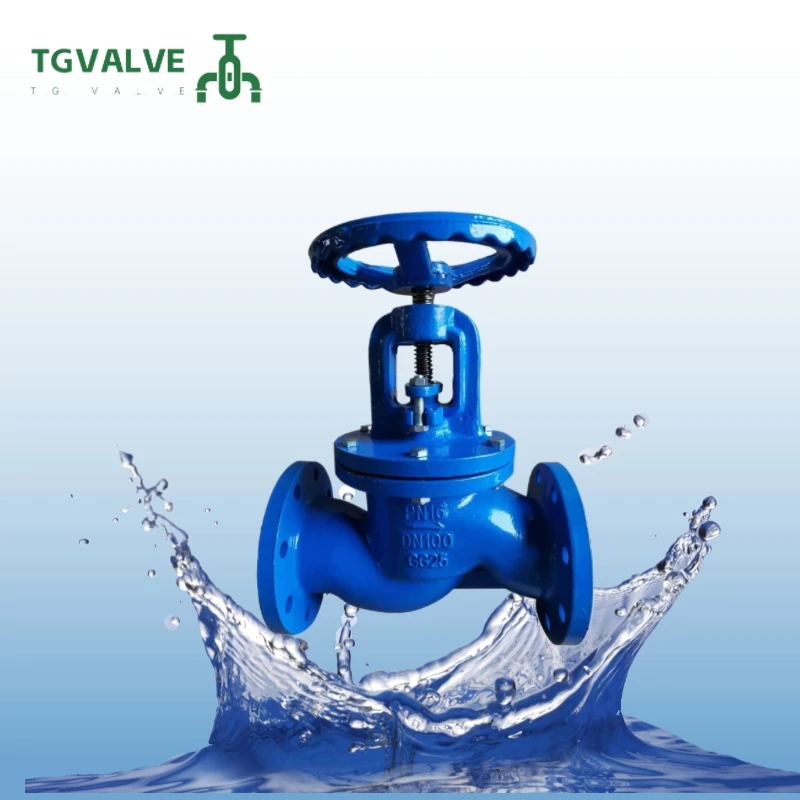 Metal valve factory high temperature forging cast iron ductile iron bellows national standard flange globe valve