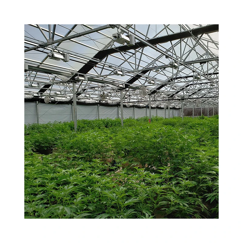 Agricultural light deprivation greenhouse for sale all black green house for medical planting
