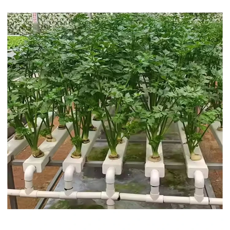 Quality Assurance NFT Gully Hydroponic Pvc Channel Hydroponic Growing Systems For Farm Cultivation Hydroponic Nft Channel