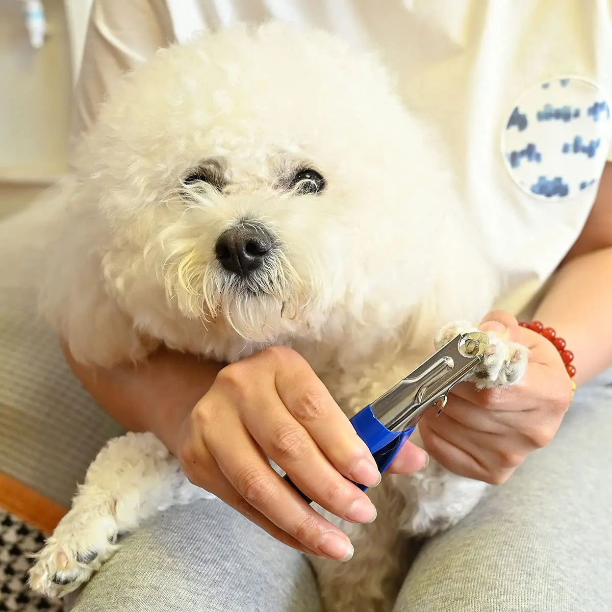 Pet Products Professional Manual Stainless Steel Pet Nail Clippers Dog Cat Claw scissors