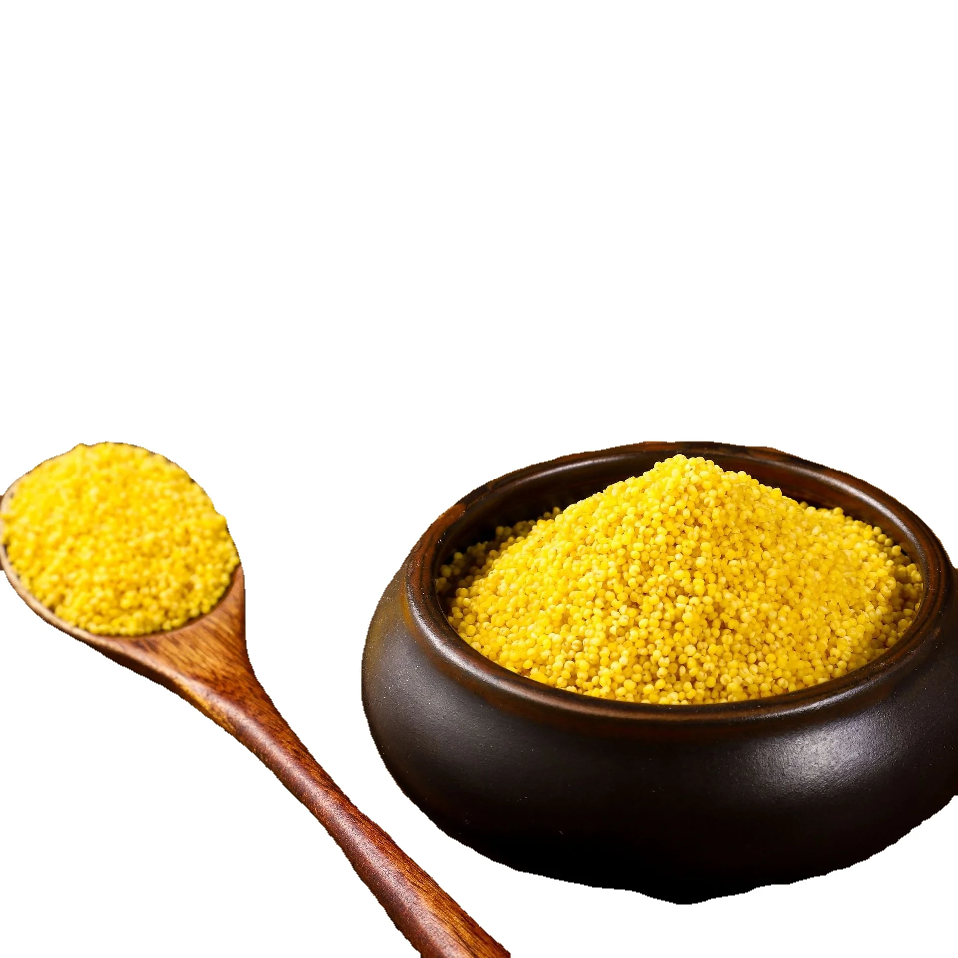 New High Quality Good Price Protein-Rich Millet For Bird And Human Consumption