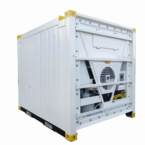 
DNV Standard Reefer Container for Sale, Offshore Use Container Factory Frozen, Chilled Cargo 1,880 Kg(excluding Reefer Machine) 