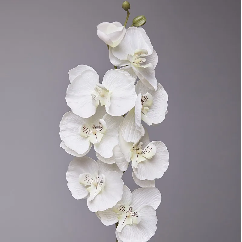 68cm Artificial Phalaenopsis Flowers Branches Silk Orchids Flowers for Home Office Wedding Decoration