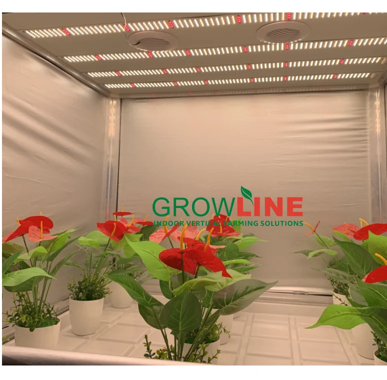 Grow Tent Kits Indoor Grow Room Packages