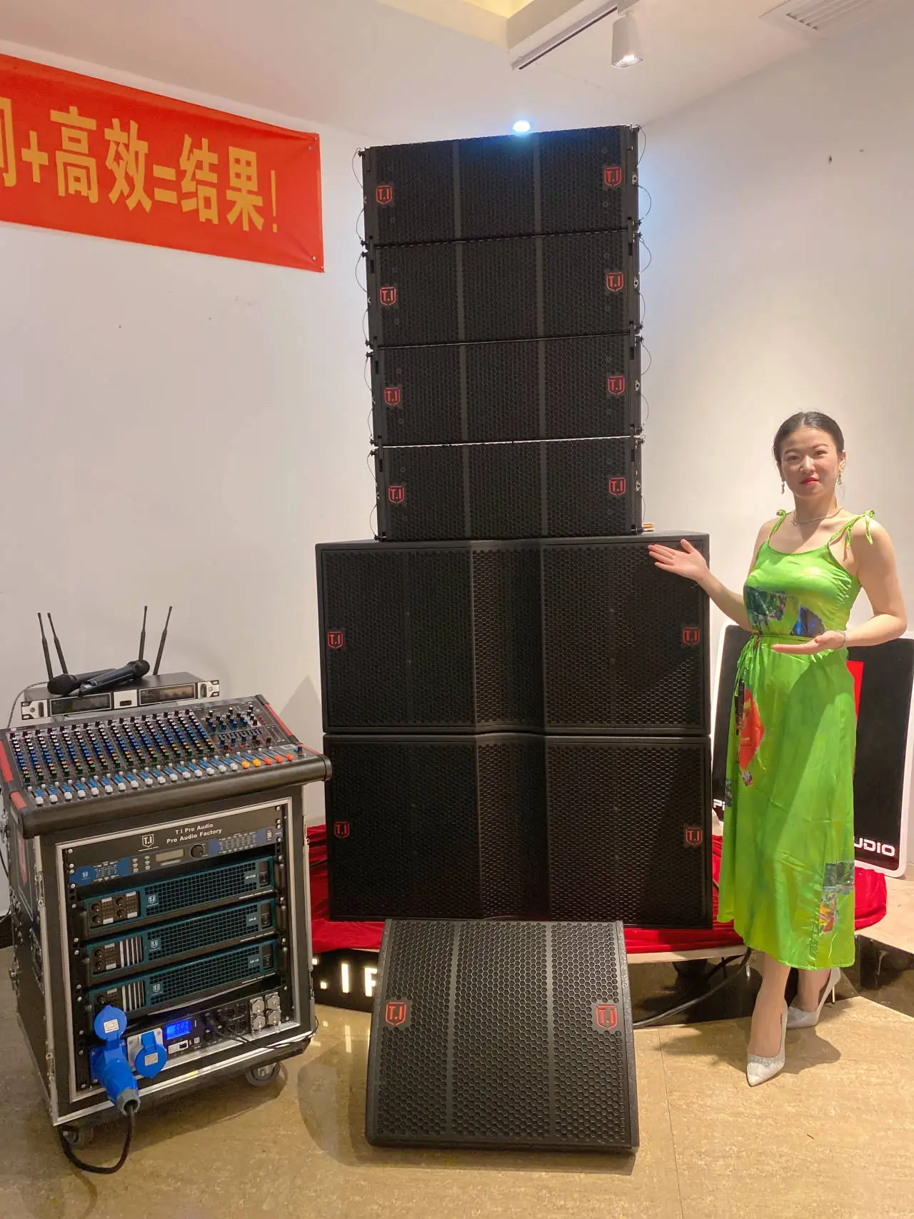 Профессиональная система с 10-дюймовым линейным массивом 210