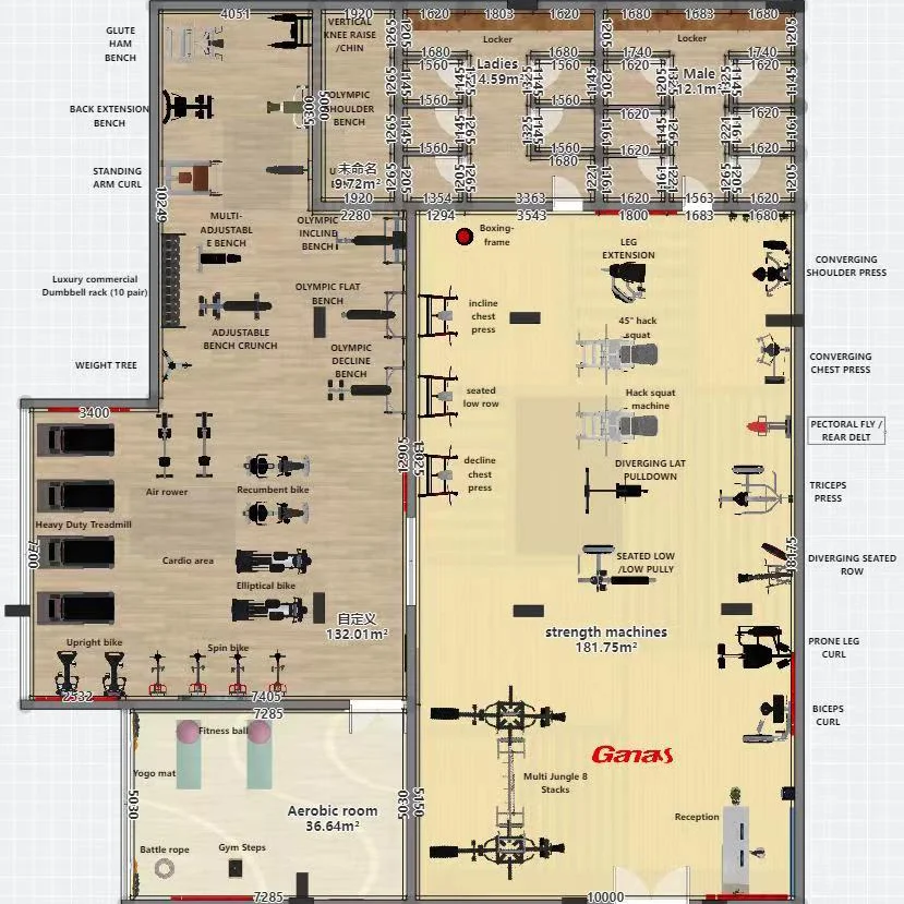 Ganas Guangzhou Fitness Equipment Universal Gym 800SQM Specialized In Commercial&Hotel&Women Gym