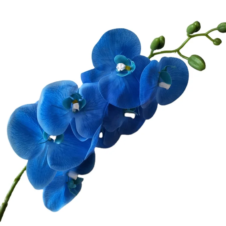 Cheap price wholesale artificial orchid flowers real touch blue latex home decor butterfly orchid manufacturers from China